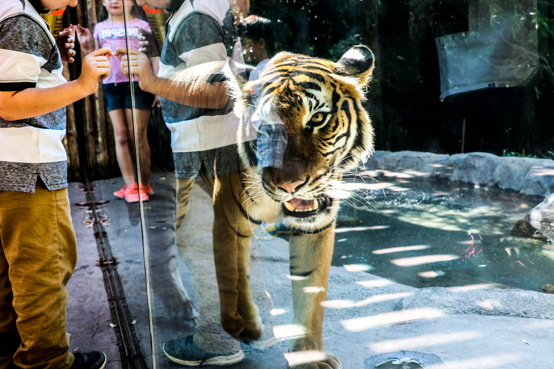 Photography by Samantha Tucker