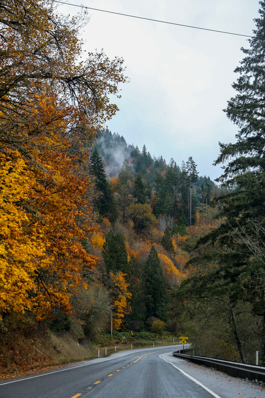 Photography by Samantha Tucker