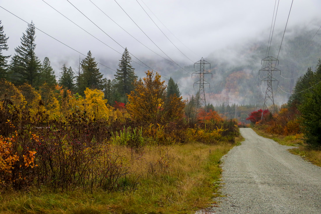Photography by Samantha Tucker