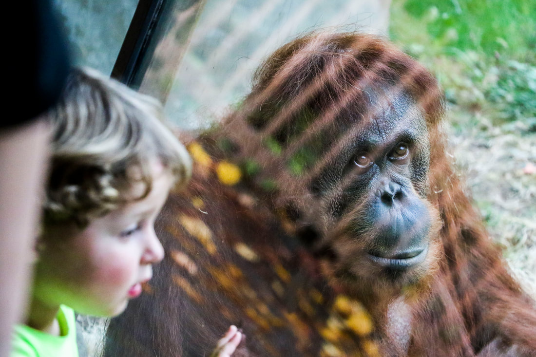 Photography by Samantha Tucker