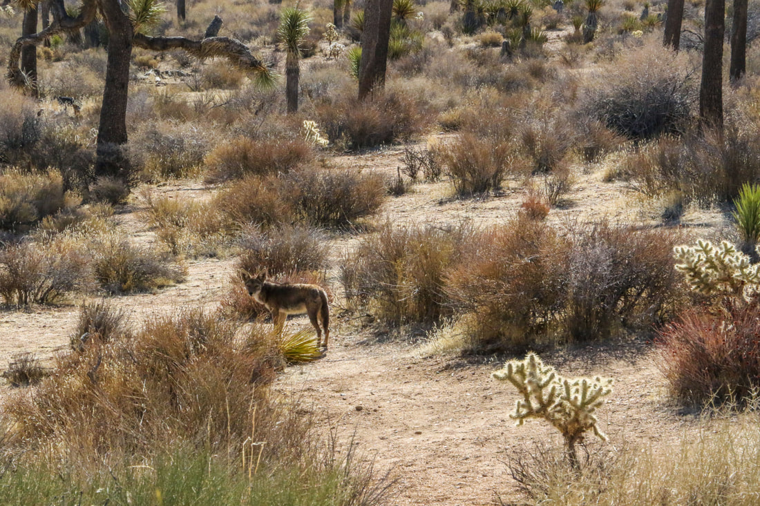 Photography by Samantha Tucker